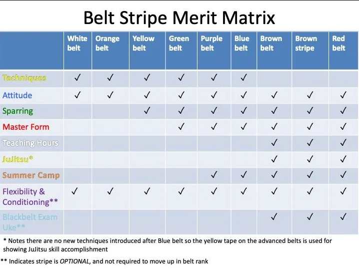 Kaizen Karate Testing Matrix - Full Size